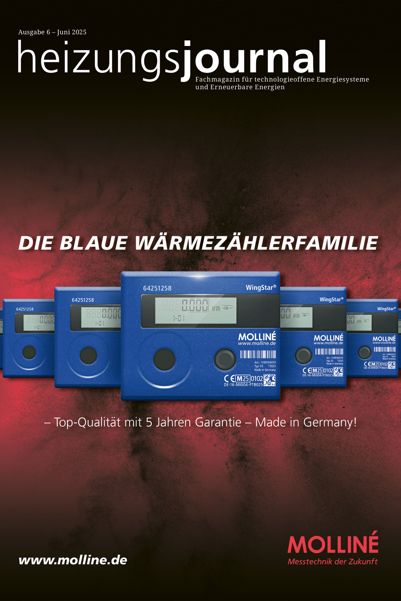 Titelbild heizungsjournal Ausgabe 6 - Juni 2025